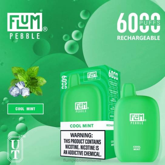 Flum Pebble flavors - FLUM PEBBLES 6000 pufuri menta rece V2LR24