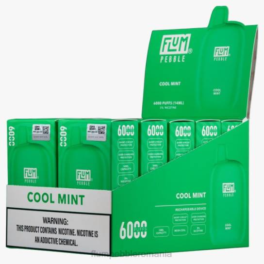 Flum Pebble near me - FLUM PEBBLES 6000 pufuri 10 pachete menta rece V2LR26