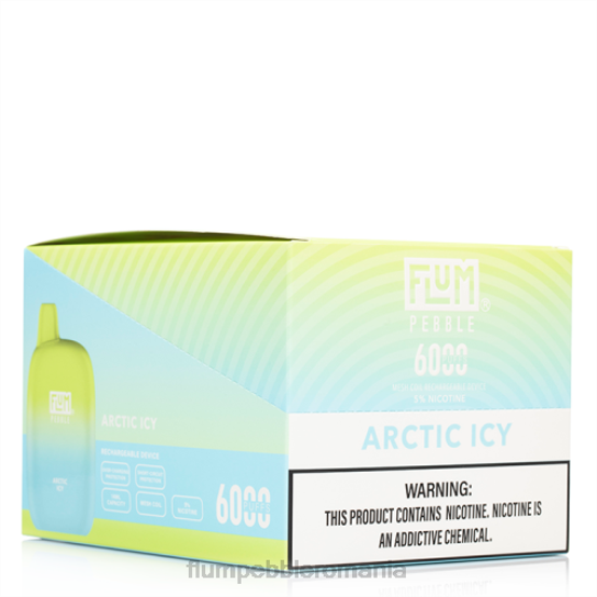 Flum Pebble near me - FLUM PEBBLES 6000 pufuri 10 pachete înghețat artic V2LR6