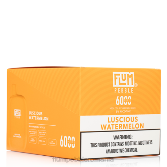 Flum Pebble vape flavors - FLUM PEBBLES 6000 pufuri 10 pachete pepene verde delicios V2LR51