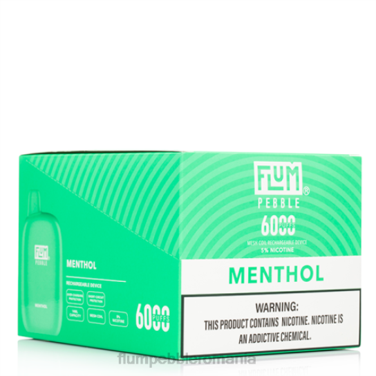 Flum Pebble vape ingredients - FLUM PEBBLES 6000 pufuri 10 pachete mentol V2LR58