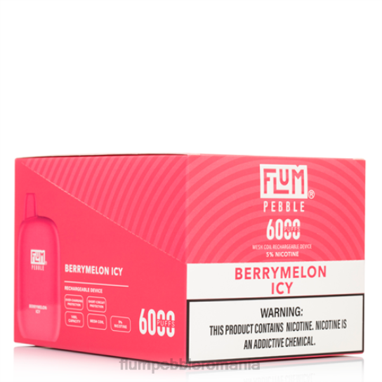 Flum Pebble vape ingredients - FLUM PEBBLES 6000 pufuri 10 pachete pepene înghețat V2LR8