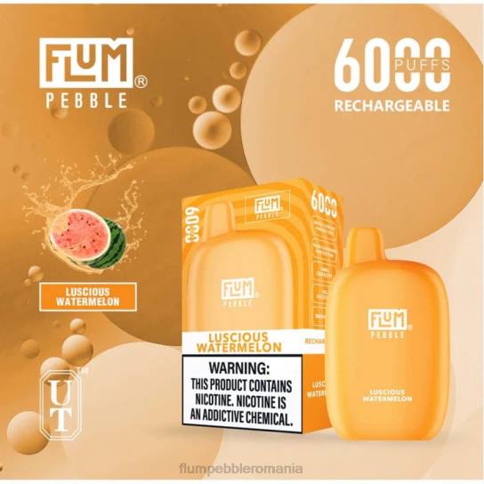 Flum Pebble vape price - FLUM PEBBLES 6000 pufuri pepene verde delicios V2LR50