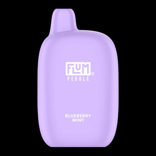 Flum Pebble vape review - FLUM PEBBLES 6000 pufuri mentă de afine V2LR17