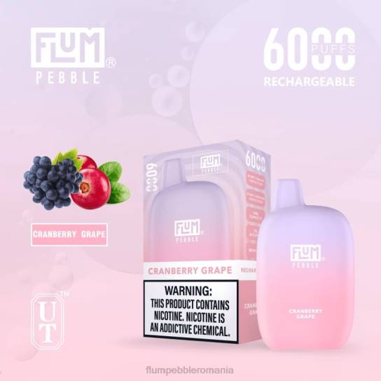 Flum Pebble vape review - FLUM PEBBLES 6000 pufuri struguri de afine V2LR27