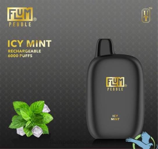 Flum float flavors - FLUM PEBBLES 6000 pufuri mentă înghețată V2LR49