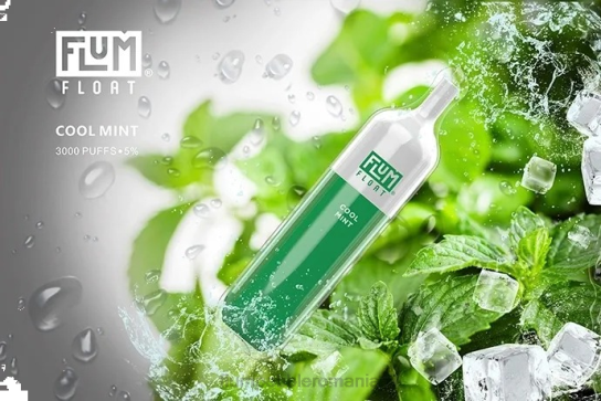 Flum Pebble vape near me - FLUM FLOAT 3000 pufuri menta rece V2LR25