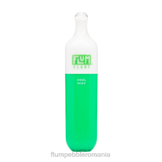 Flum Pebble vape near me - FLUM FLOAT 3000 pufuri menta rece V2LR25